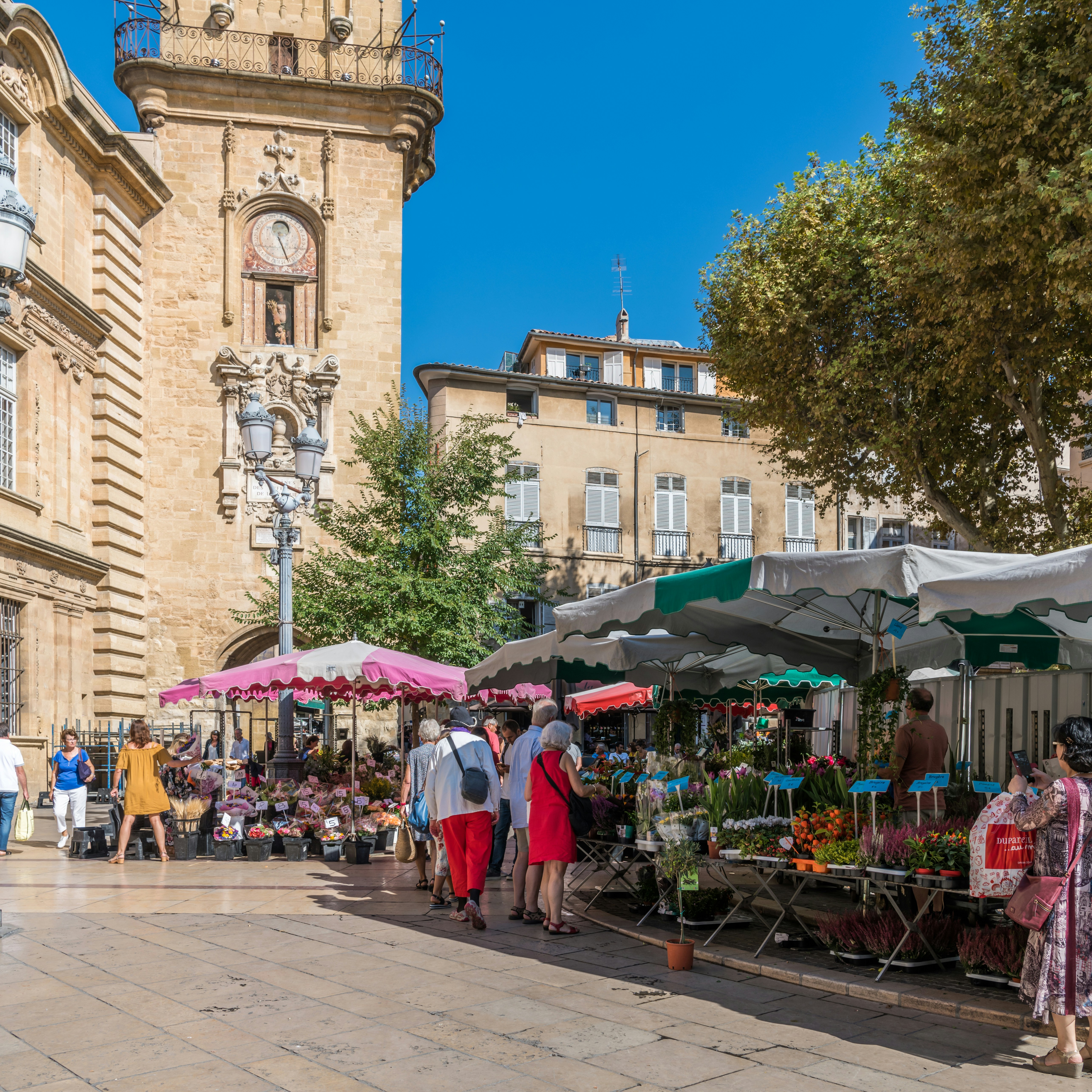 IAU Aix en Provence by Jane Ackerley