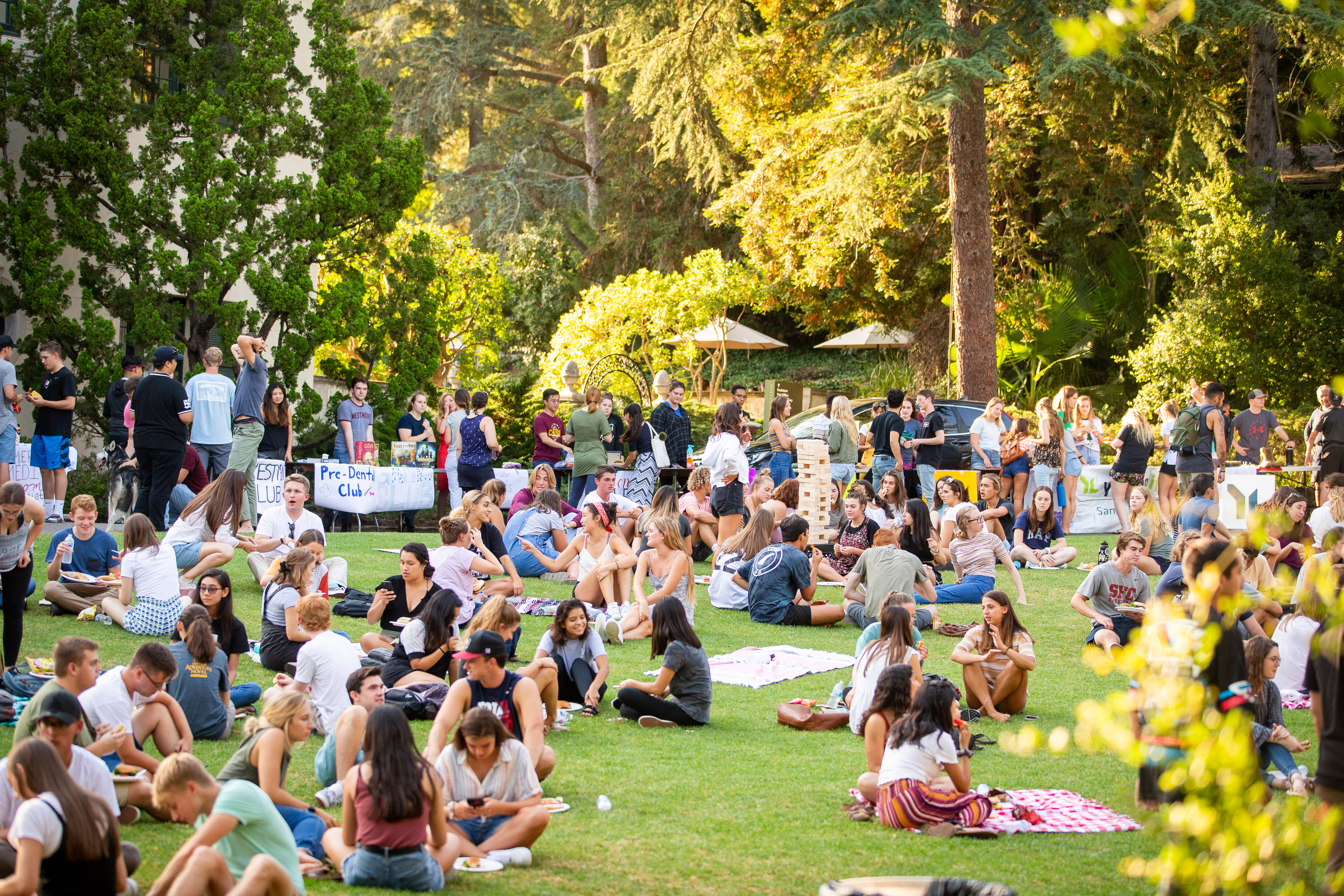 students sitting on the lawn